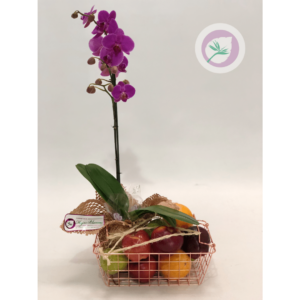 Planta con Frutas - PL015