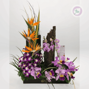 Regala un hermoso arreglo con orquideas y aves del paraiso. Tenemos los arreglos hermosos para esa persona especial.