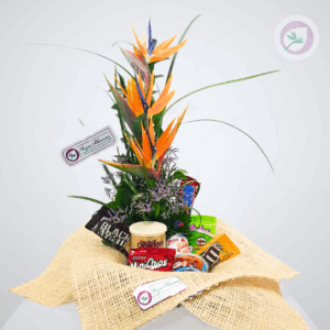 Ancheta para el día del padre, un regalo para papá.